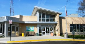 Join Us! Fairfax County Animal Shelter to Celebrate Grand Opening