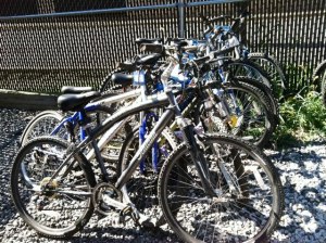 Stolen bicycles