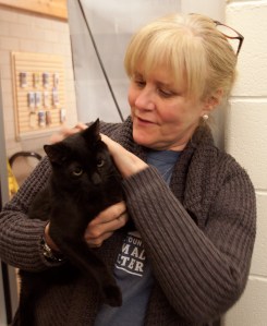 042314Martin_and_volunteer_cat_behavior