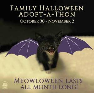 101714familyhalloween