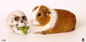 101714familyhalloween2