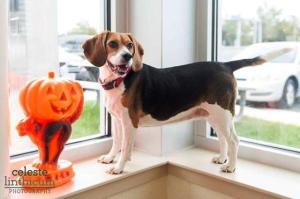 101714familyhalloween5