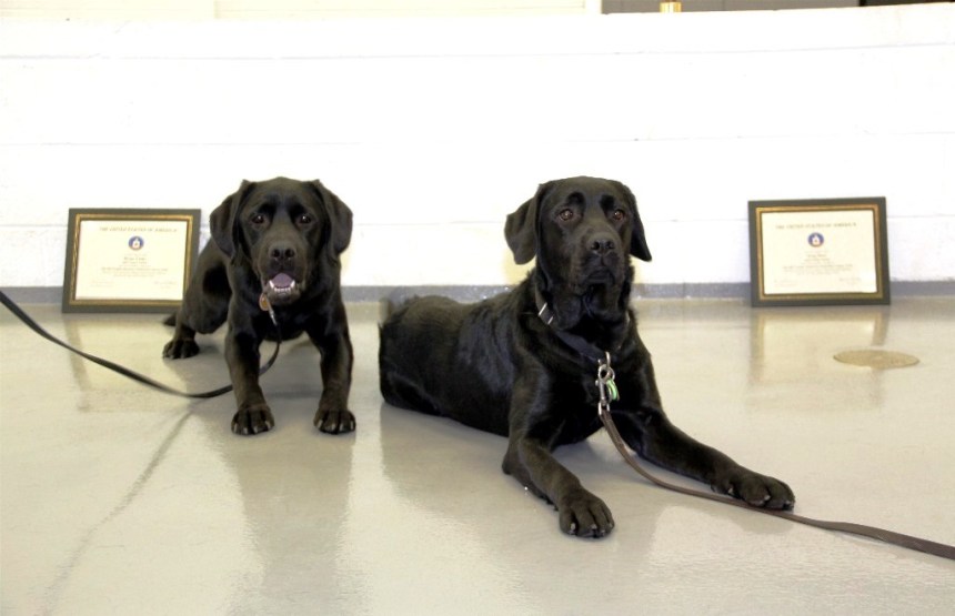 Meet Penny & Tucker!