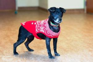 It's cold out; I don't care how ugly my sweater is!