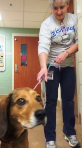 An apprehensive Teddy at the Shelter with Officer Lugo