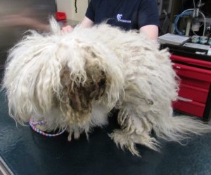 ???????????????????????????????