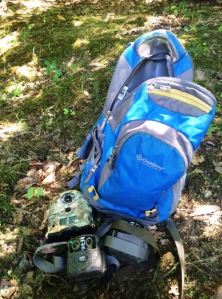 Trail cams installed today; will be checked frequently for wildlife activity.