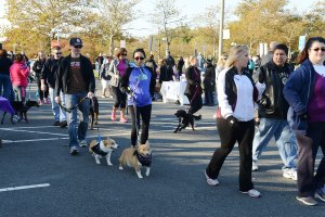 ????????????????????????????????????