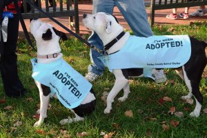 ????????????????????????????????????