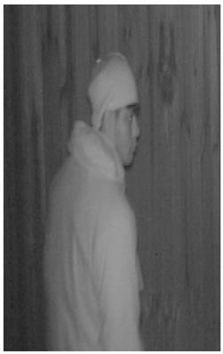 Police Seek Public’s Assistance Identifying Suspect; Peepings in Springfield Area
