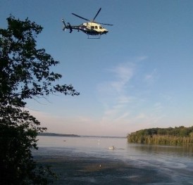 020916,helomissingjuv2