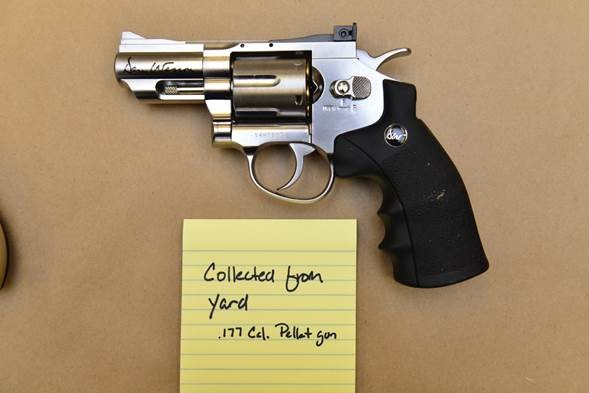 030316,6,barricadePelletPistol