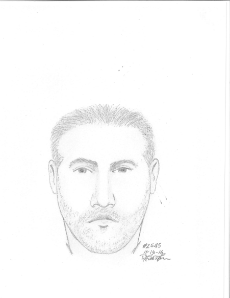 11211631113163180125compositesketchindecentlibpng_page1