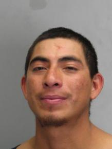 120116santosvalladaresmugshottrespassdip