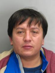 1219163121716mugshotbrianncamachonogalesdaily