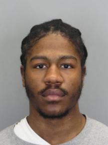 010317mugshottheronbooneanimalcrueltydomvio