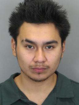 011717mugshotmateoamayaassaultonleoobstruction