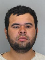 021317mugshotjesuspaniaguairahetatrespassing