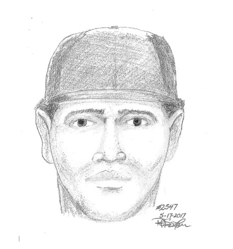 051917,BurgSuspectSketch,Franconia