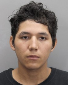 LuisPerdomoMcleanROBBERY