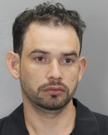 NelsonCruzMcleanBURGLARY