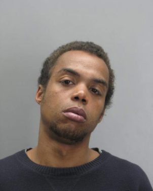 090418, Mugshot - Davis, Reno