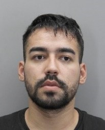 123118, Mugshot - Valenzuela Goncalves, Leonardo