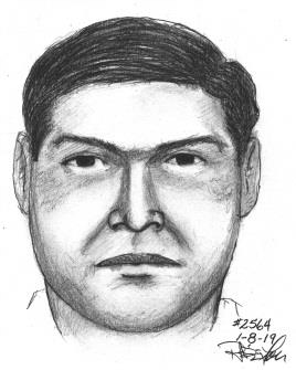 annandale assault sketch 010819