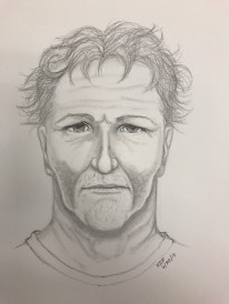 reston sexual assault suspect