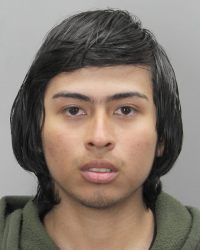 051120 Mugshot - Navidad Ostorga, Alex