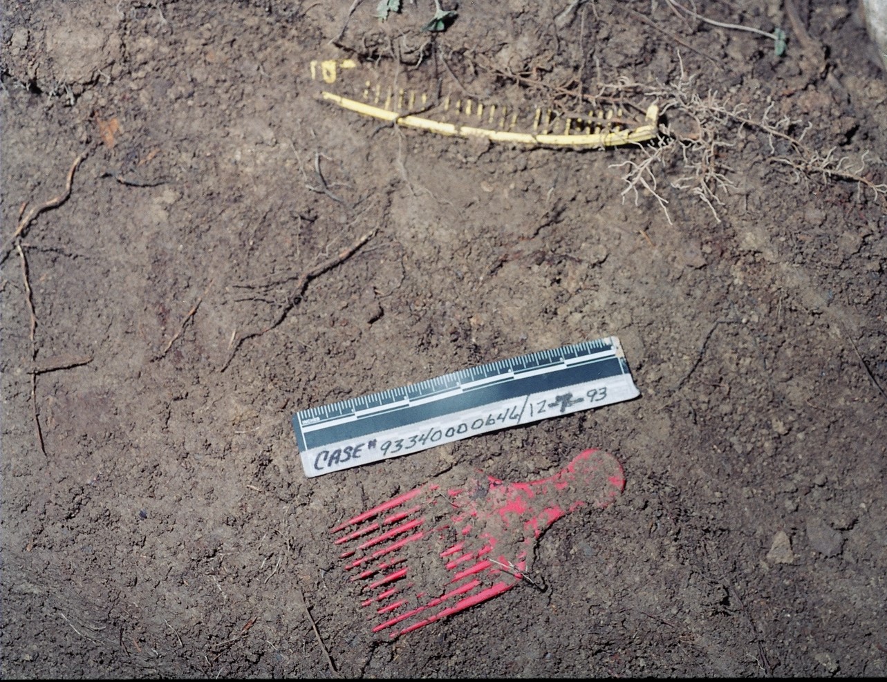 Cold Case Victim Identified Through DNA Testing | Fairfax County Police ...