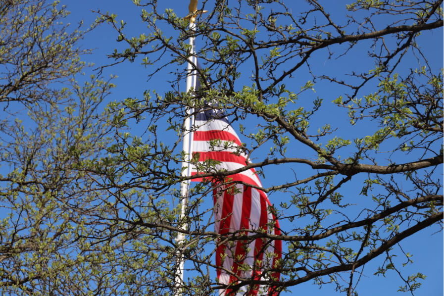 Red, White, and Secure: Tips for a Safe 4th of July