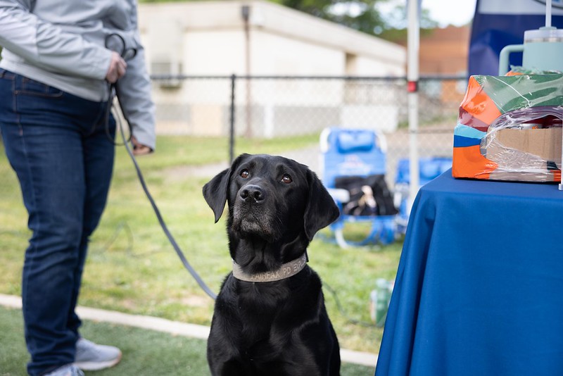 Get Involved: This Week’s Community Events Blog at FCPD