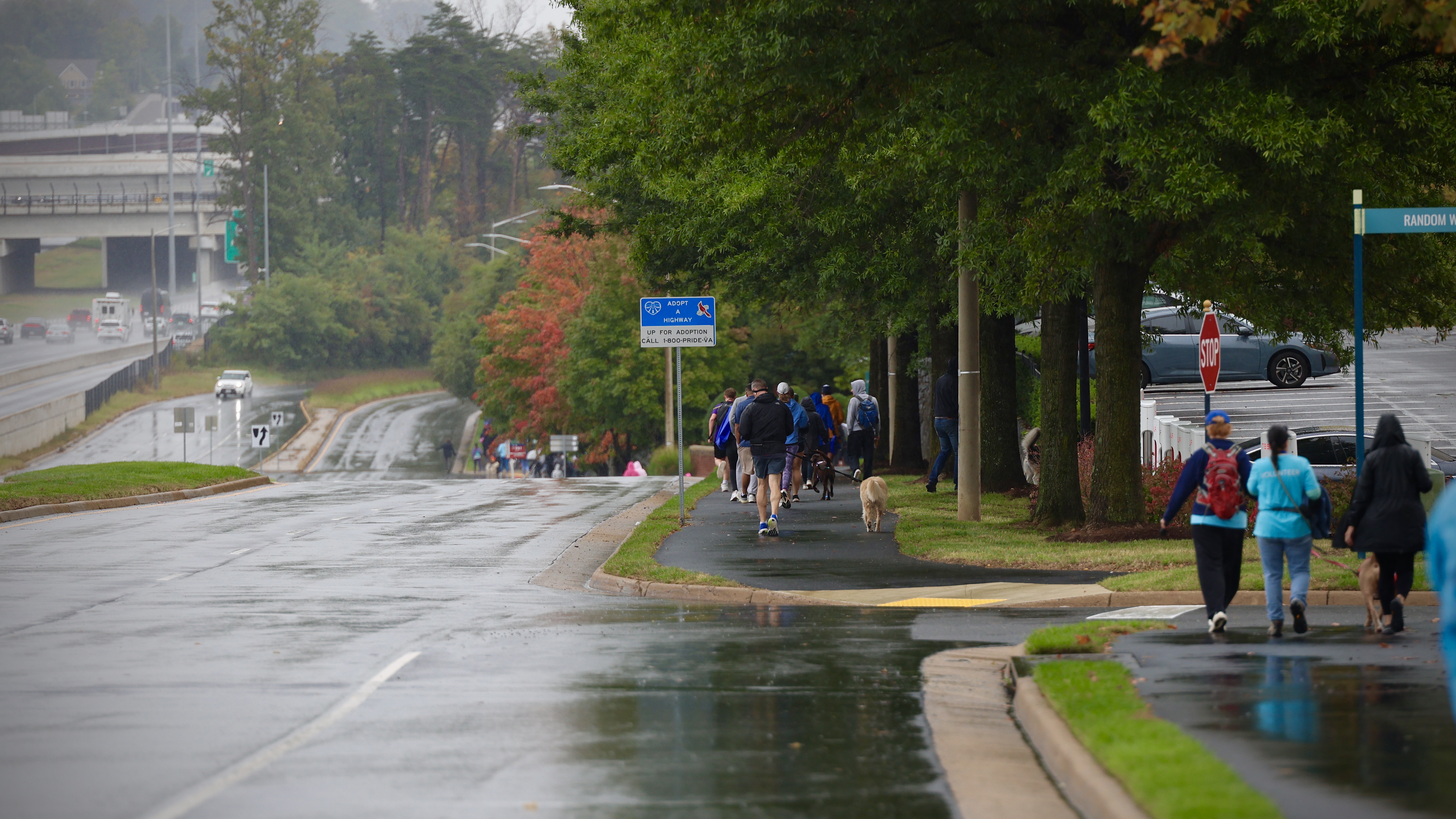Pedestrians and dogs walk along a sidewalk beside a wet roadway on a rainy day in Fairfax County.